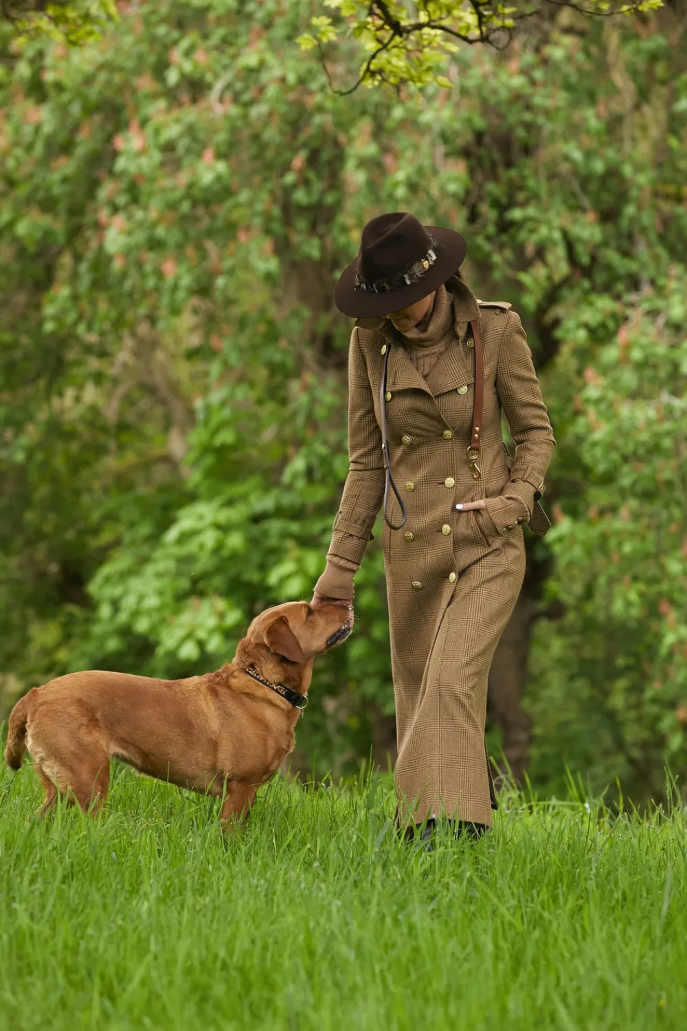 Holland Cooper HC Classic Dog Collar< Dog Collars