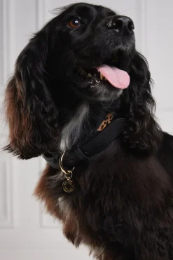 Holland Cooper HC Classic Dog Collar< Dog Collars