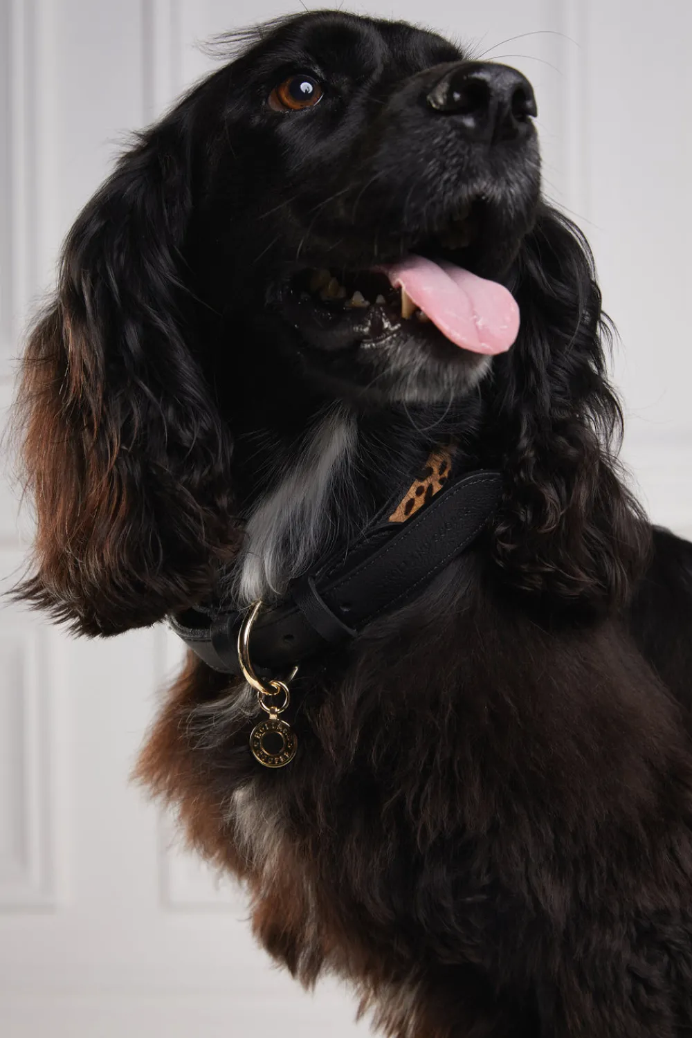 Holland Cooper HC Classic Dog Collar< Dog Collars