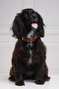 Holland Cooper HC Classic Dog Collar< Dog Collars