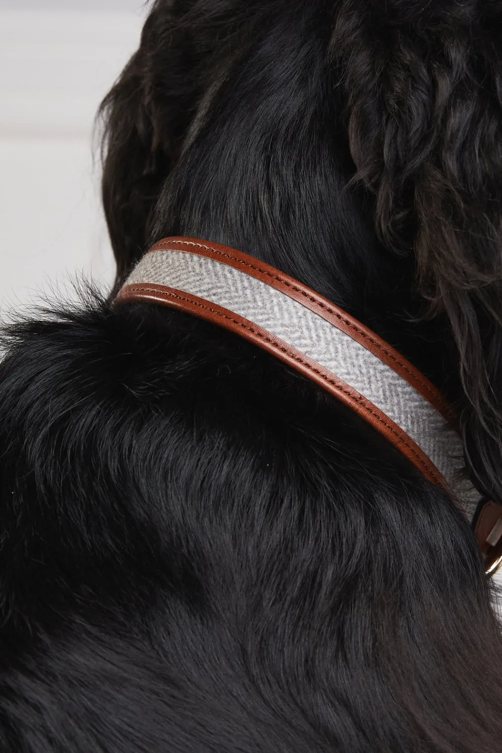 Holland Cooper HC Classic Dog Collar< Dog Collars