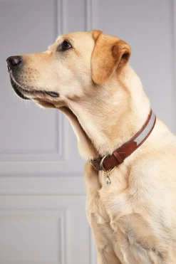 Holland Cooper HC Classic Dog Collar< Dog Collars