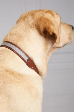 Holland Cooper HC Classic Dog Collar< Dog Collars