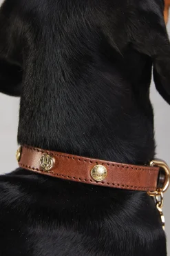 Holland Cooper HC Studded Dog Collar< Dog Collars