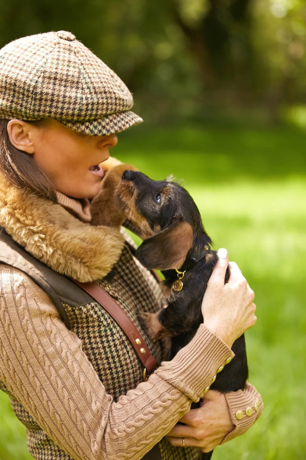 Holland Cooper HC Studded Dog Collar< Dog Collars