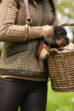 Holland Cooper HC Studded Dog Collar< Dog Collars