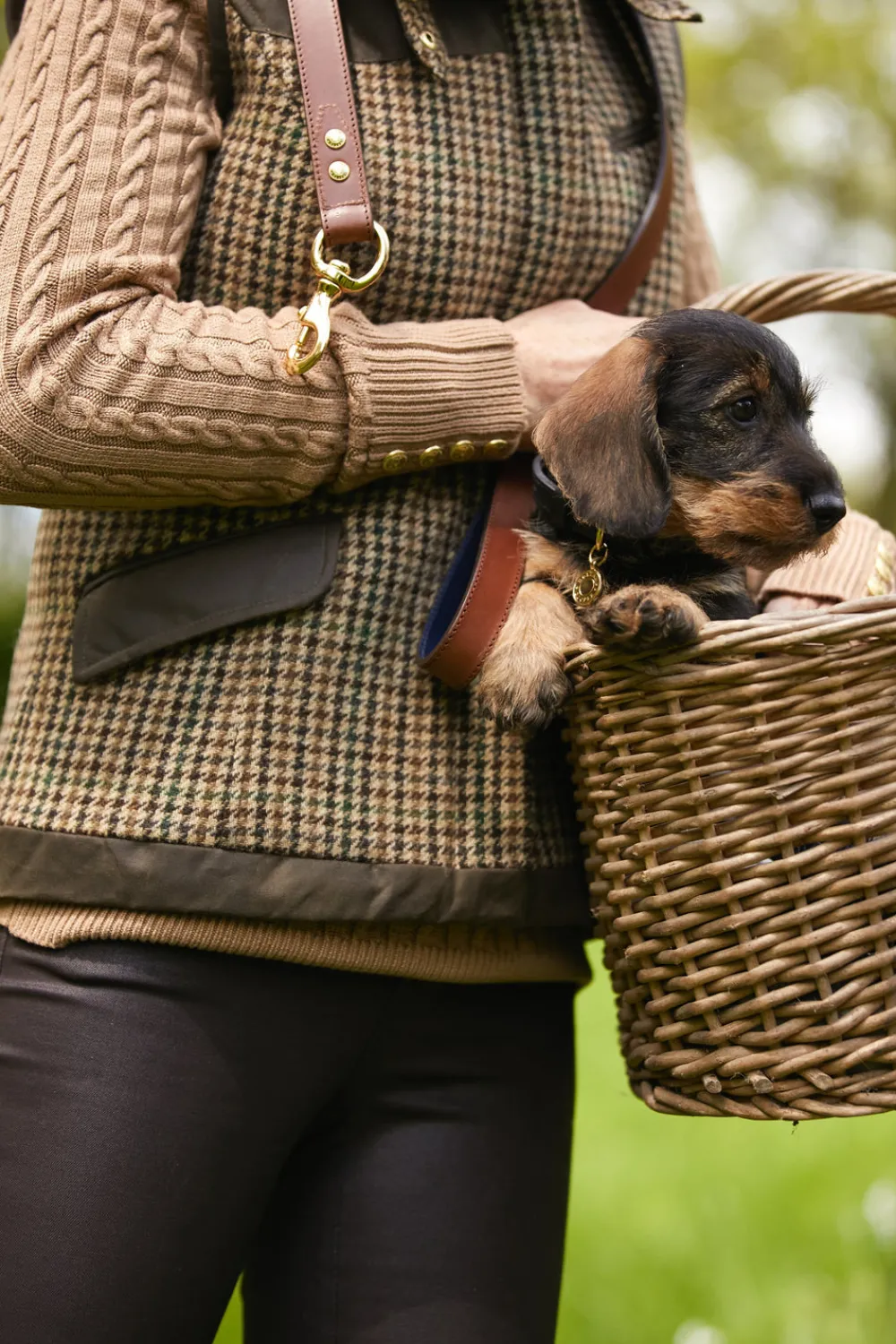 Holland Cooper HC Studded Dog Collar< Dog Collars